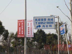 風(fēng)荷麗景 上海都市中的詩(shī)意棲居